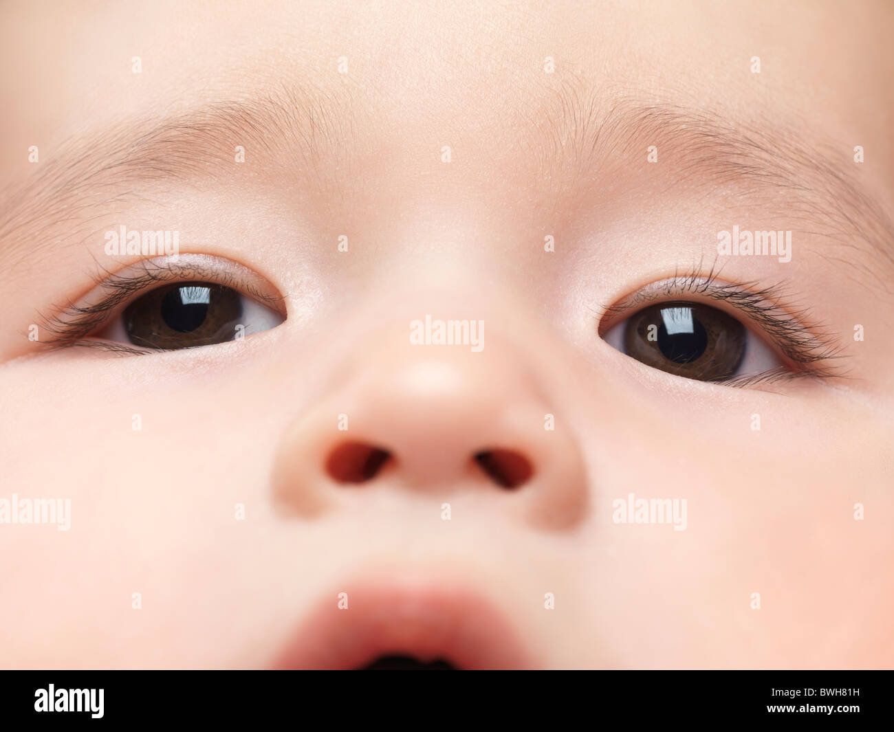 Nahaufnahme des Gesichts eines sechs Monate alten Baby-jungen mit braunen Augen Stockfoto