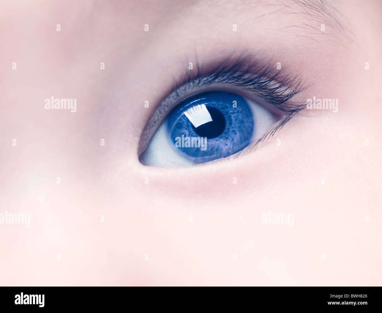 Lizenz erhältlich unter MaximImages.com - Nahaufnahme eines blauen Auges eines sechs Monate alten Jungen. Stockfoto