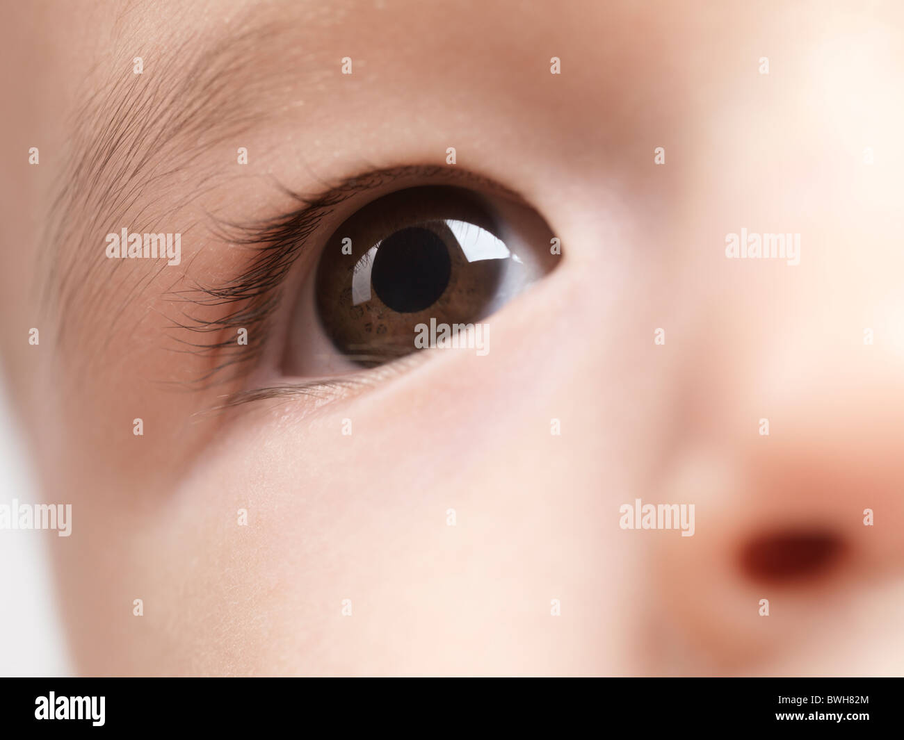 Lizenz erhältlich unter MaximImages.com - Nahaufnahme eines Auges eines sechs Monate alten Jungen Stockfoto