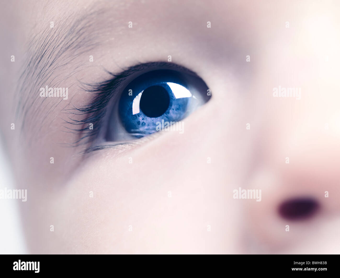 Nahaufnahme eines blauen Auges eines sechs Monate alten Baby-jungen. Digital verändert. Stockfoto