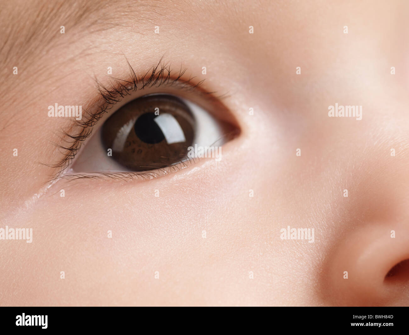 Lizenz erhältlich unter MaximImages.com - Nahaufnahme eines Auges eines sechs Monate alten Jungen Stockfoto