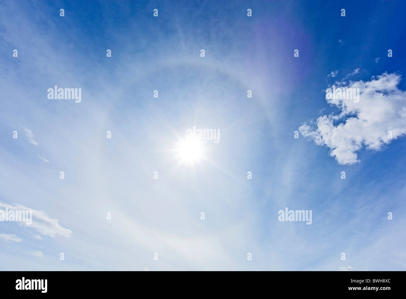 Kreisen Sie um die Sonne, Parhelic Kreis, 22°-Halo, optisches Phänomen, Yukon Territorium, Kanada, Kanada Stockfoto
