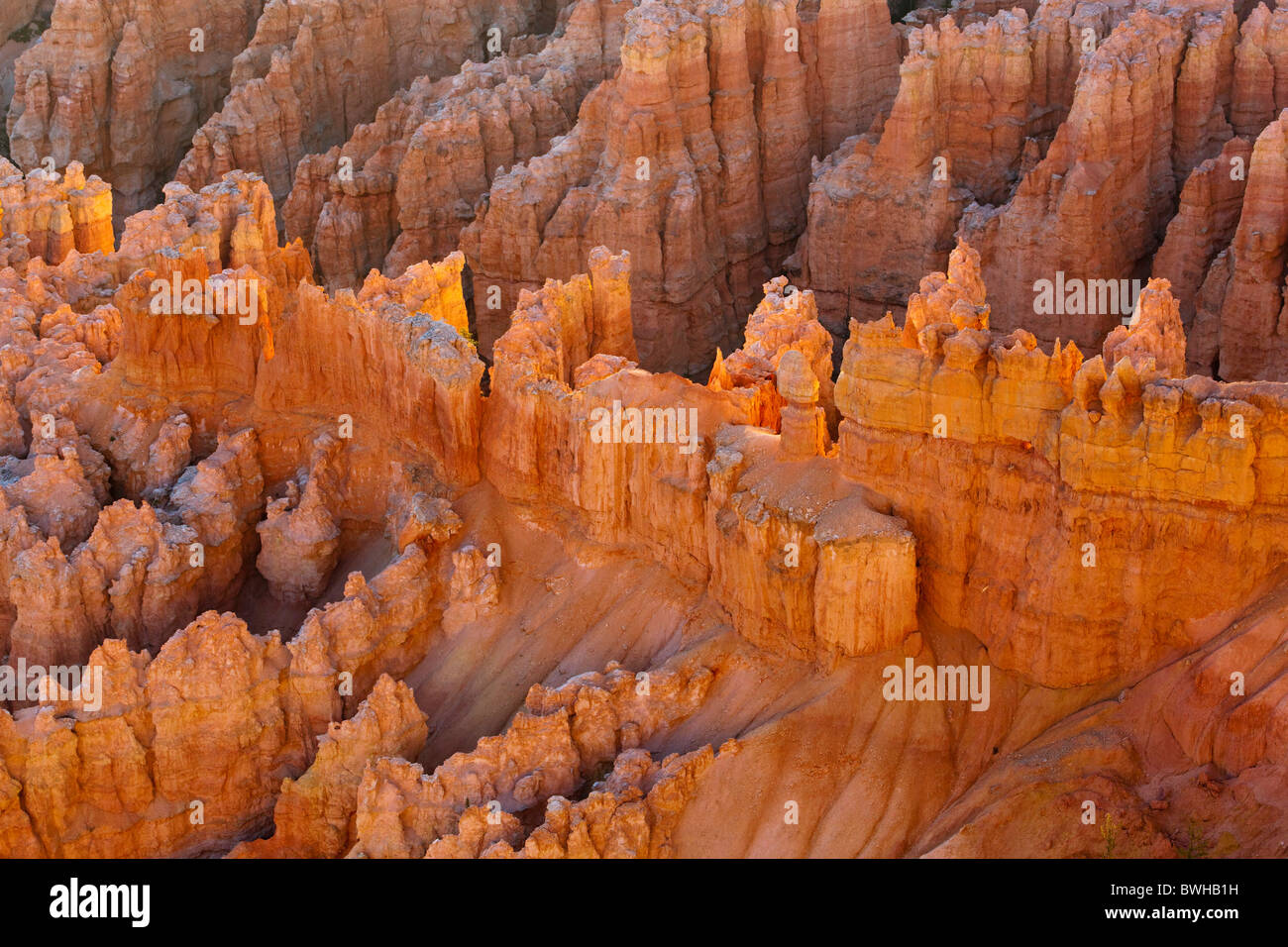 Felslandschaft mit Hoodoos, Bryce-Canyon-Nationalpark, Utah, USA Stockfoto