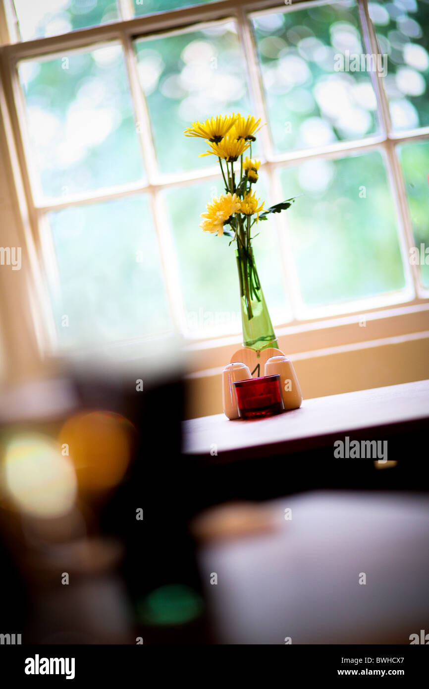 Gelben Blüten durch eine verglaste Fenster an einem Sommertag Stockfoto