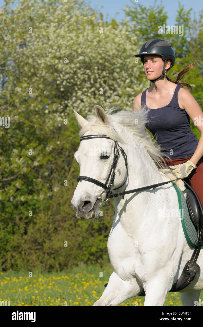 Reiten ist das Hobby der deutschen Blondine Reiten ist das Hobby der deutschen Blondine