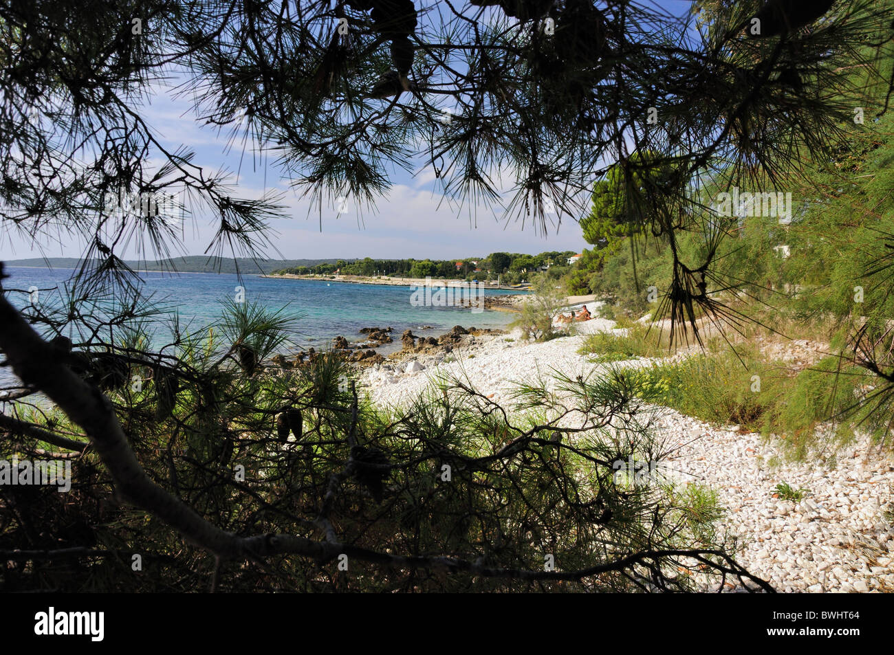 Pebble Beach, Insel Silba, Kroatien Stockfoto