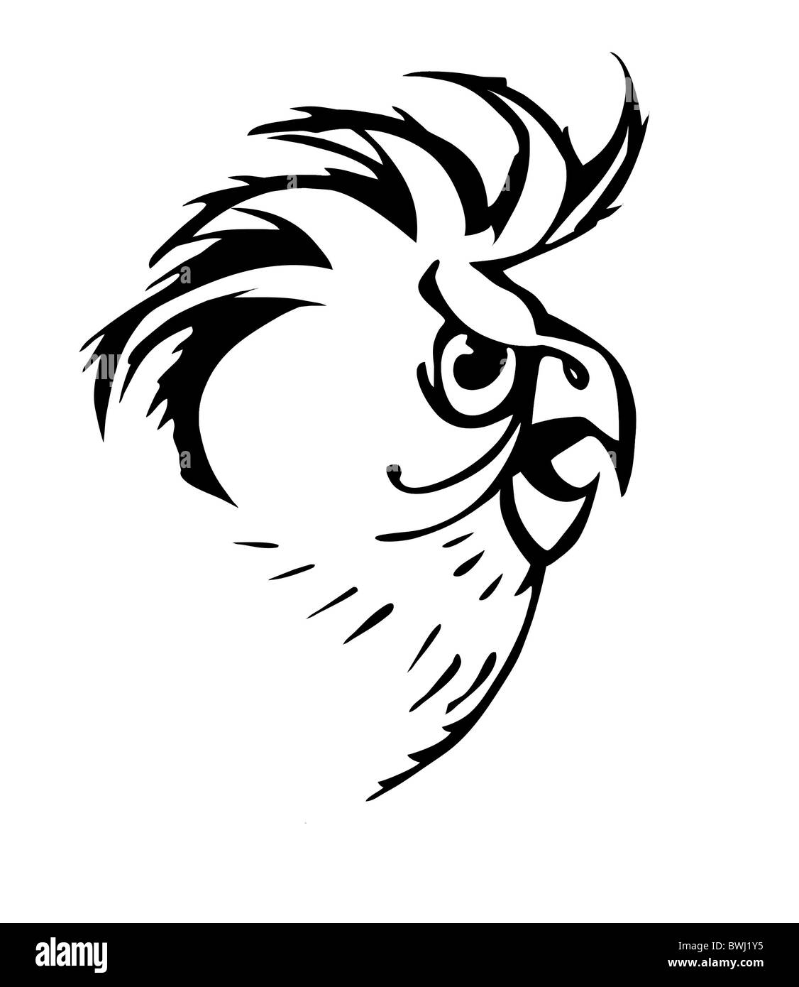 Silhouette der Papagei auf weißem Hintergrund Stockfoto