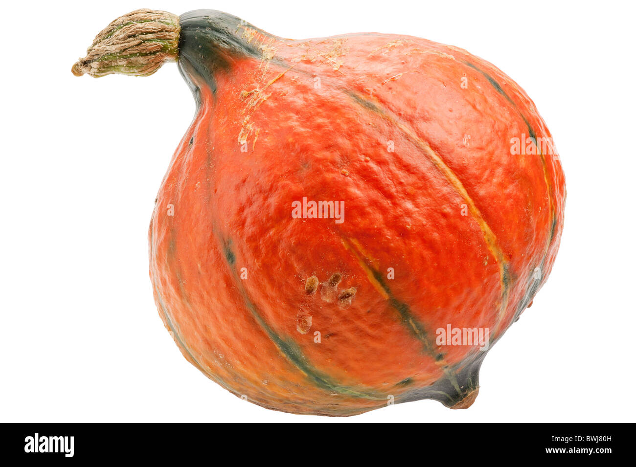 Orange Kürbis isoliert auf weißem Hintergrund. Kürbis ist ökologische und natürliche, wuchs im ländlichen Garten. Stockfoto