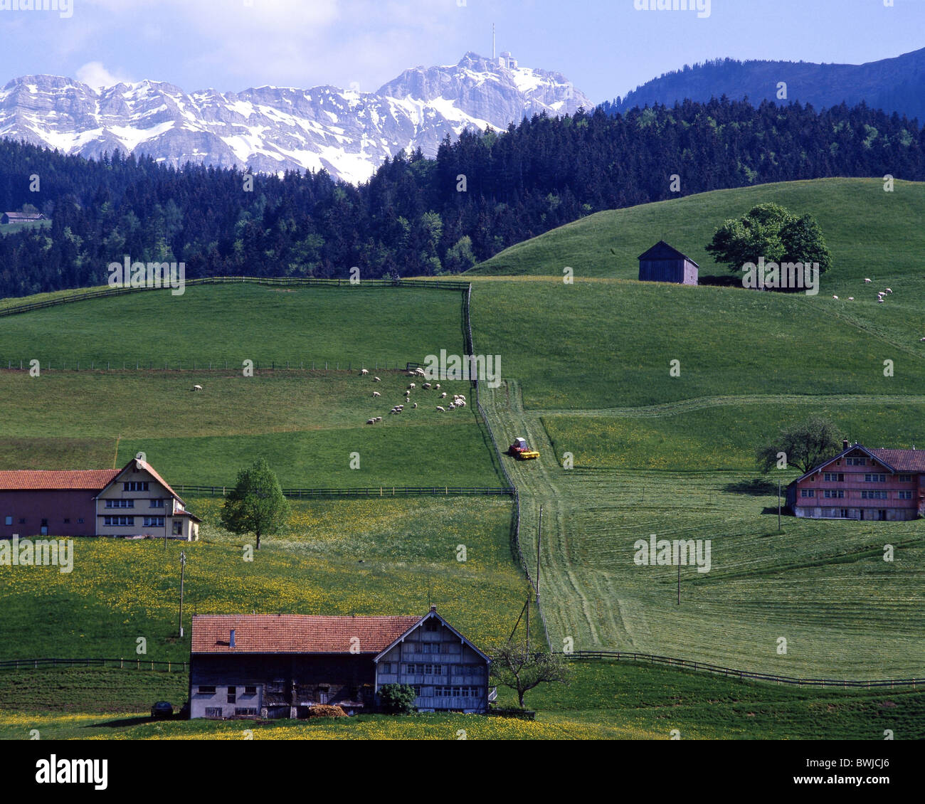 Appenzellerland Urnäsch Bauernhöfe Bauernhäuser Landschaft Landschaft Felder Alpstein Appenzell Schweiz Europa Stockfoto