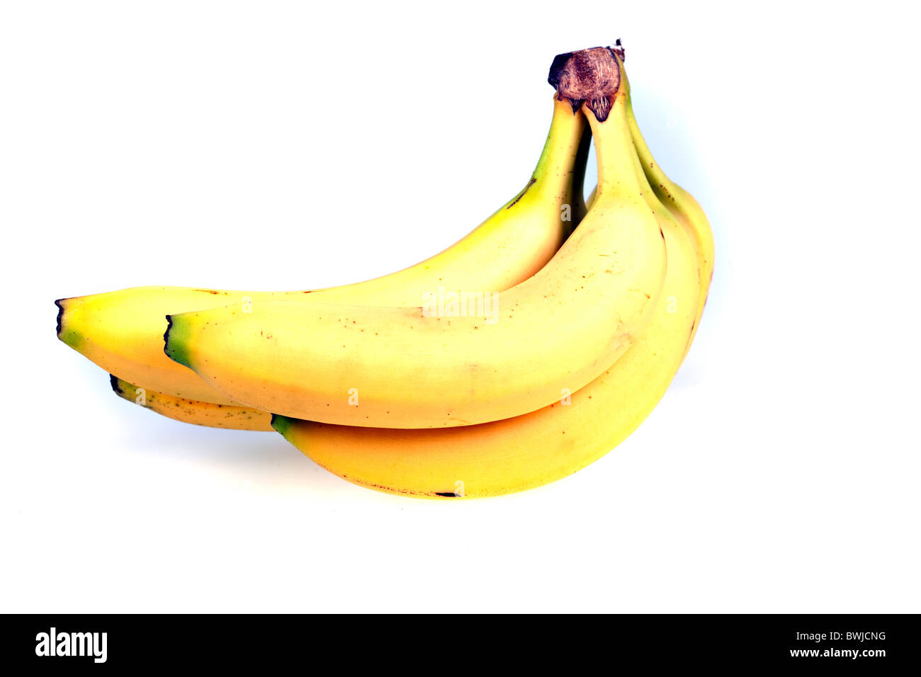 Bündel Bananen isoliert auf weißem Hintergrund Stockfoto