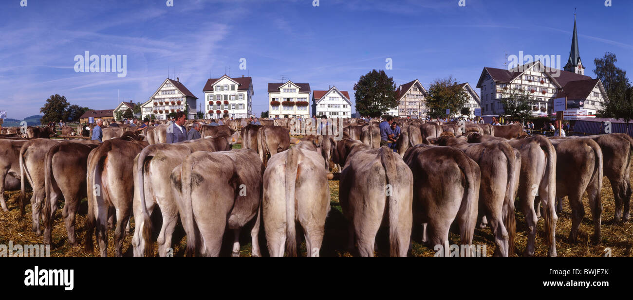 steinerne Kanton Appenzell Ausserrhoden Vieh Rindermarkt zeigen Kühe Hirten Senner Menschen Bauer Stockfoto