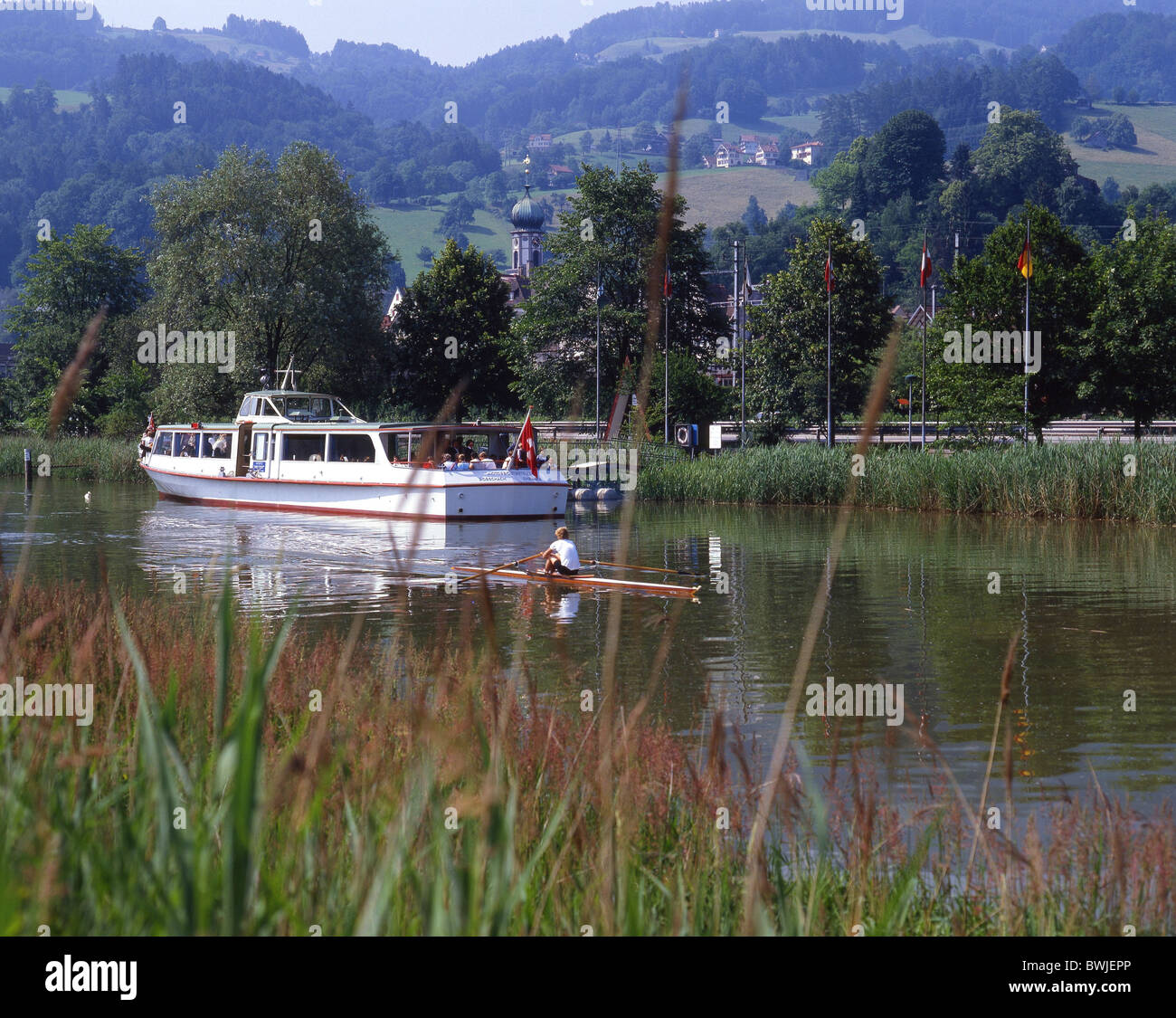 Landschaft-Landschaft Rheineck alten Rhein Boot Schiff Ruderboot Rudern Ruder ein Schilf Ufer Sommer Kanton St. Ga Stockfoto