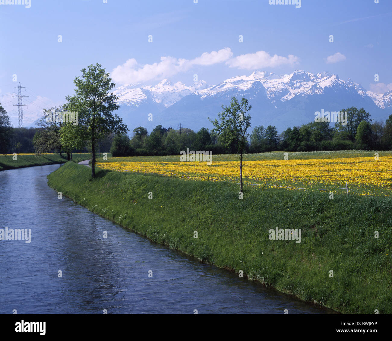 Landschaft-Landschaft-Kanal Binnenkanal St. Galler Rheintal in der Nähe von Sennwald Wiese Blume Wiese Kanton St. Gallen Stockfoto