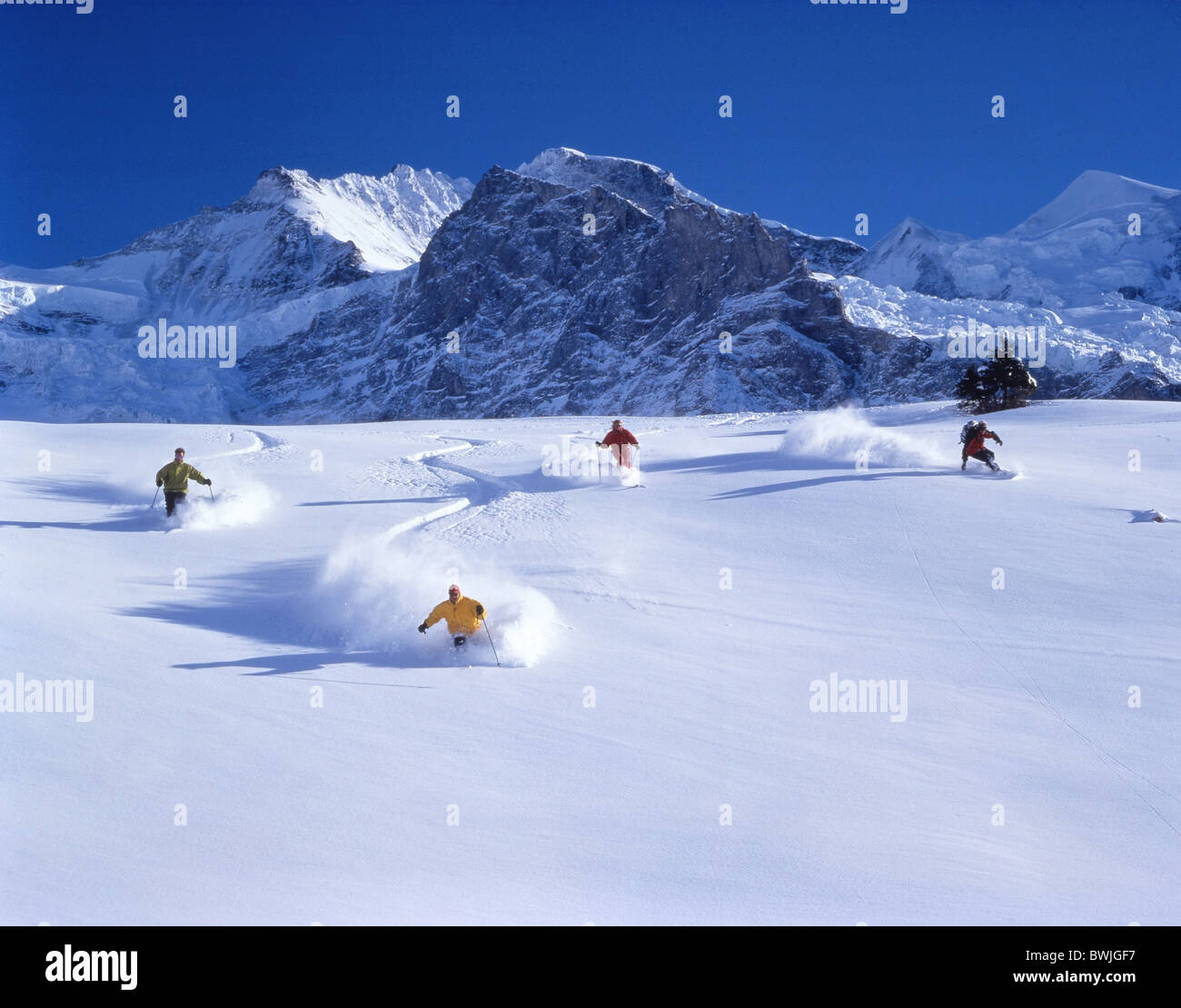 Ski Skifahren Gruppe Tiefschnee Freeride Jungfrau Winter Wintersport Schneeberge Alpen Berner Oberland Stockfoto
