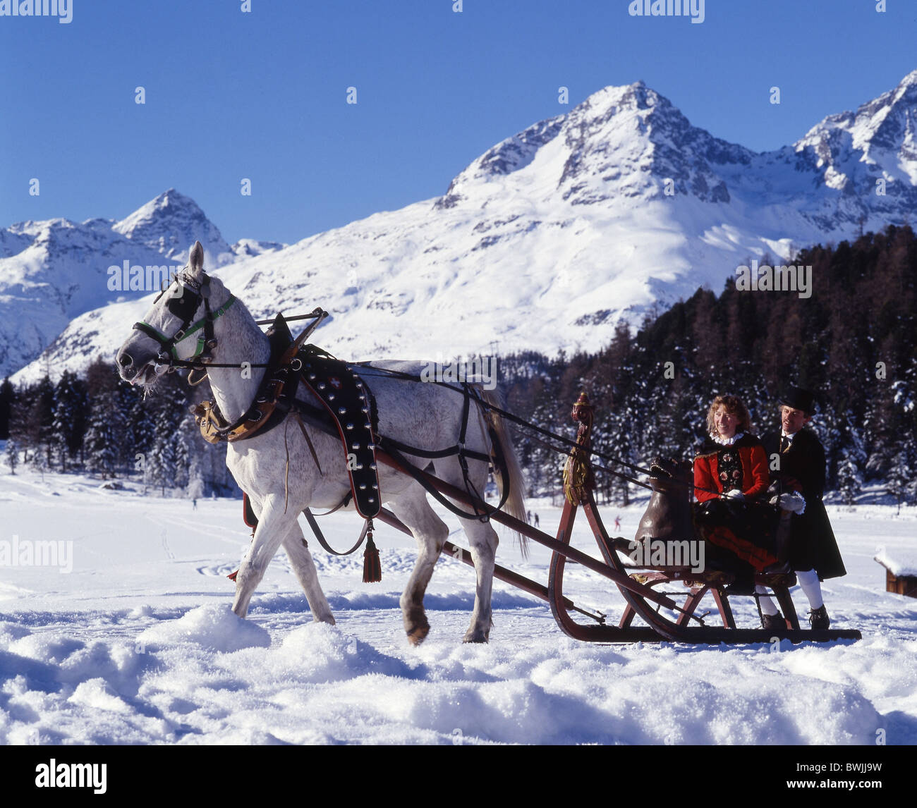 Pferde Schlitten Winter Schlitten Schlitten Auto Pferdekutsche paar Tracht Folklore Celerina Schnee moun Stockfoto
