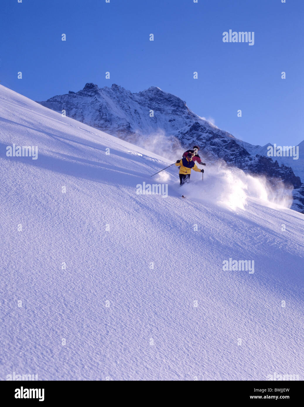 Ski Skifahren Tiefschnee Freeriden Wintersport Skiberge Alpen Schnee Wintersport Kleine Scheidegg Ju Stockfoto