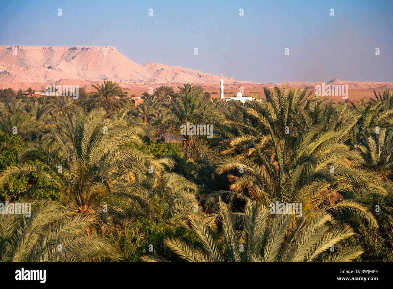 Die mittelalterlichen/osmanische Stadt Al Qasr, Dakhla Oase, Ägypten Stockfoto