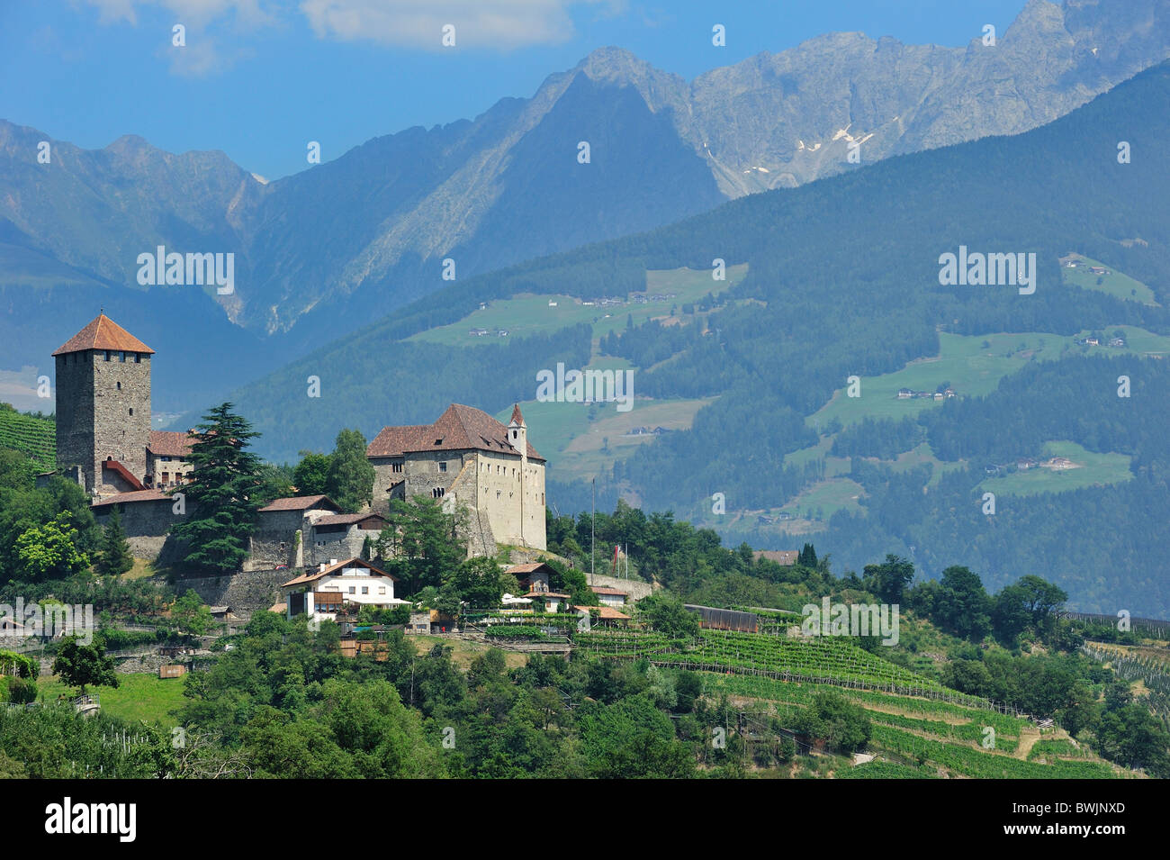 Die Burg Schloss Tirol und die Apfelplantage in Dorf Tirol / Dorf Tirol, Dolomiten, Italien Stockfoto