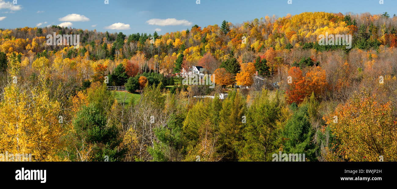 Landschaft-Landschaft White Mountains Sugar Hill Indian Sommer Herbst Holz Wald Hügel Herbstlandschaft Hom Häuser Stockfoto