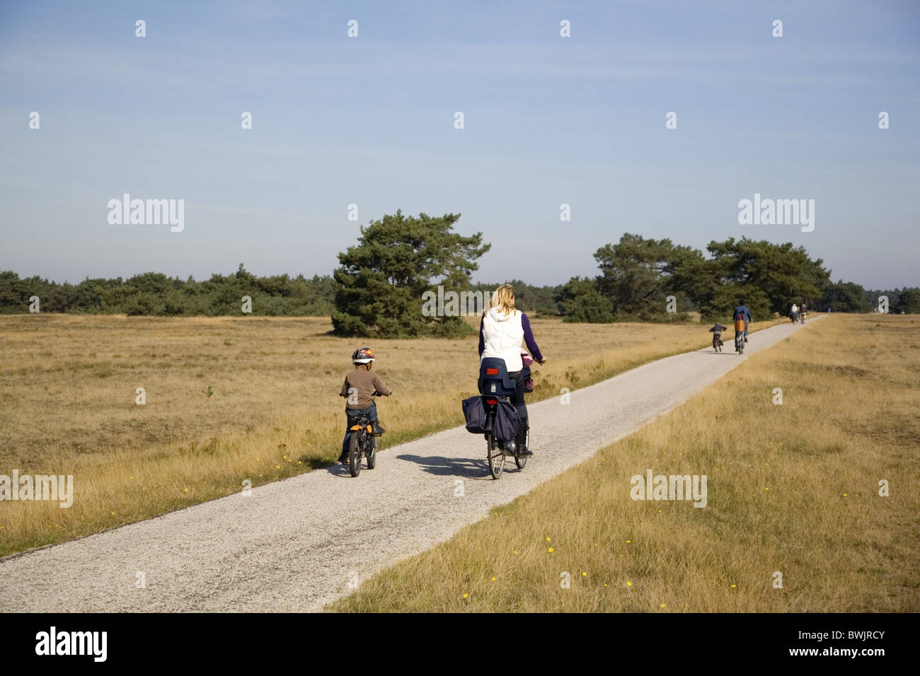 Radfahrer in den National Park Hoge Veluwe, Gelderland, Niederlande Stockfoto