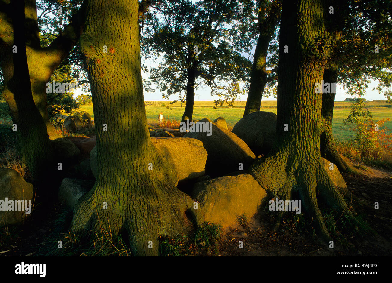 Huenengraeber Fotos und Bildmaterial in hoher Auflösung Alamy