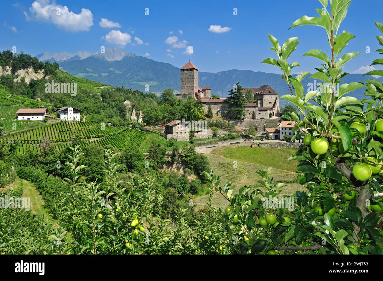 Die Burg Schloss Tirol und die Apfelplantage in Dorf Tirol / Dorf Tirol, Dolomiten, Italien Stockfoto