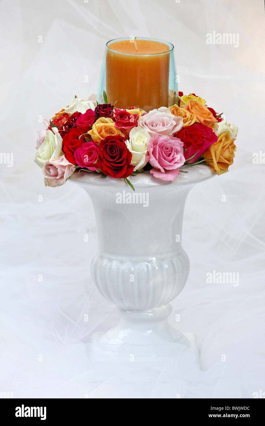 Rosen-Anordnung mit Kerze auf weiß Stockfoto