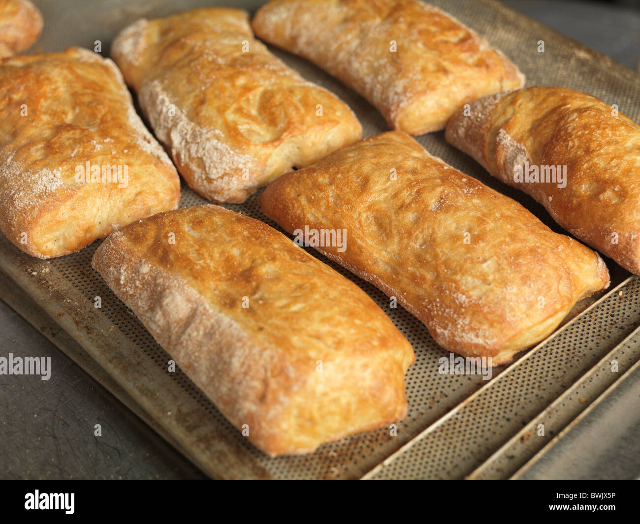 Frisch gebackenen Kuchen auf ein Backblech Stockfoto