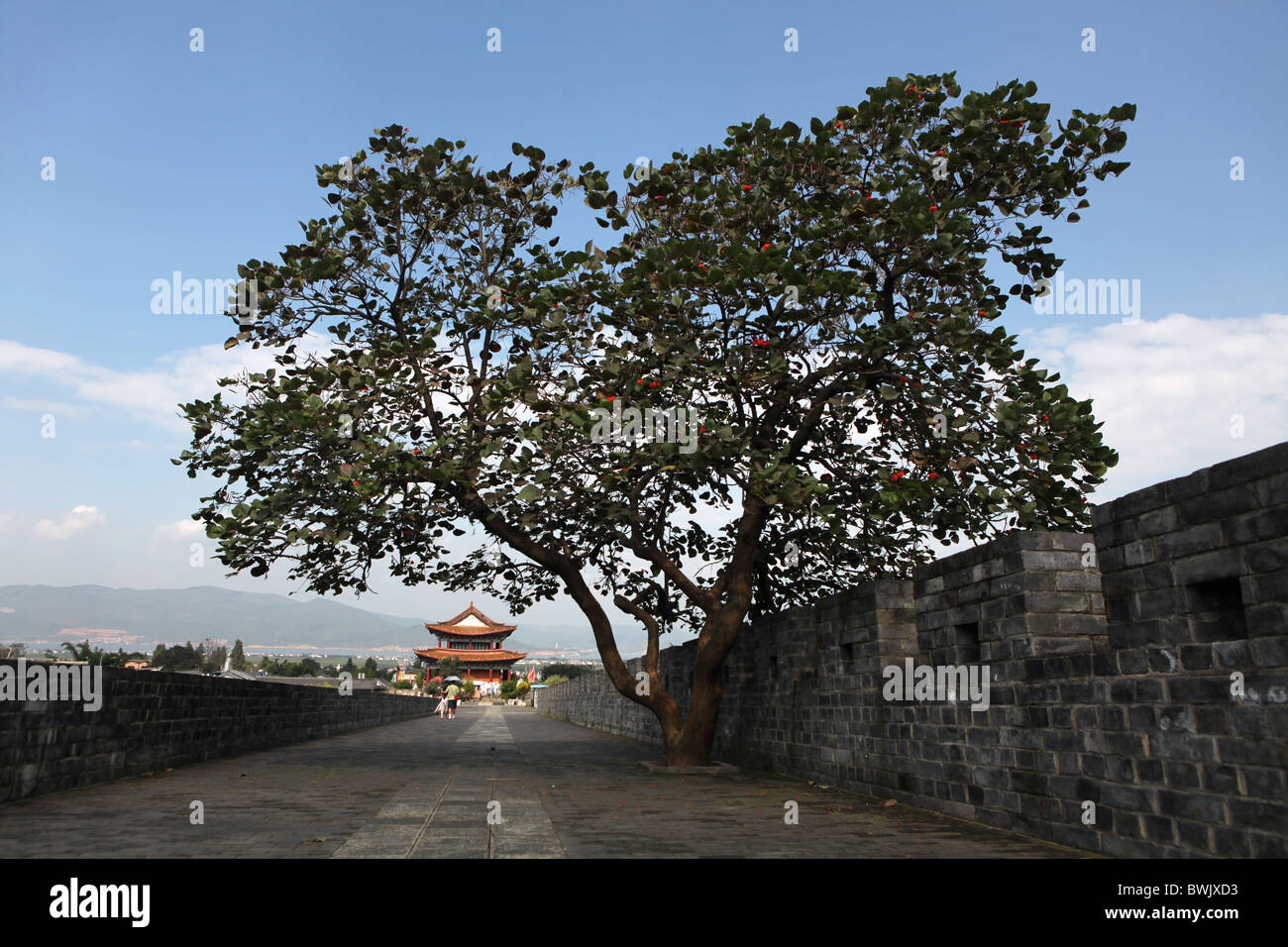 Blick Richtung Osttor aus der Mauer um die antike Stadt Dali, Provinz Yunnan, China. Stockfoto