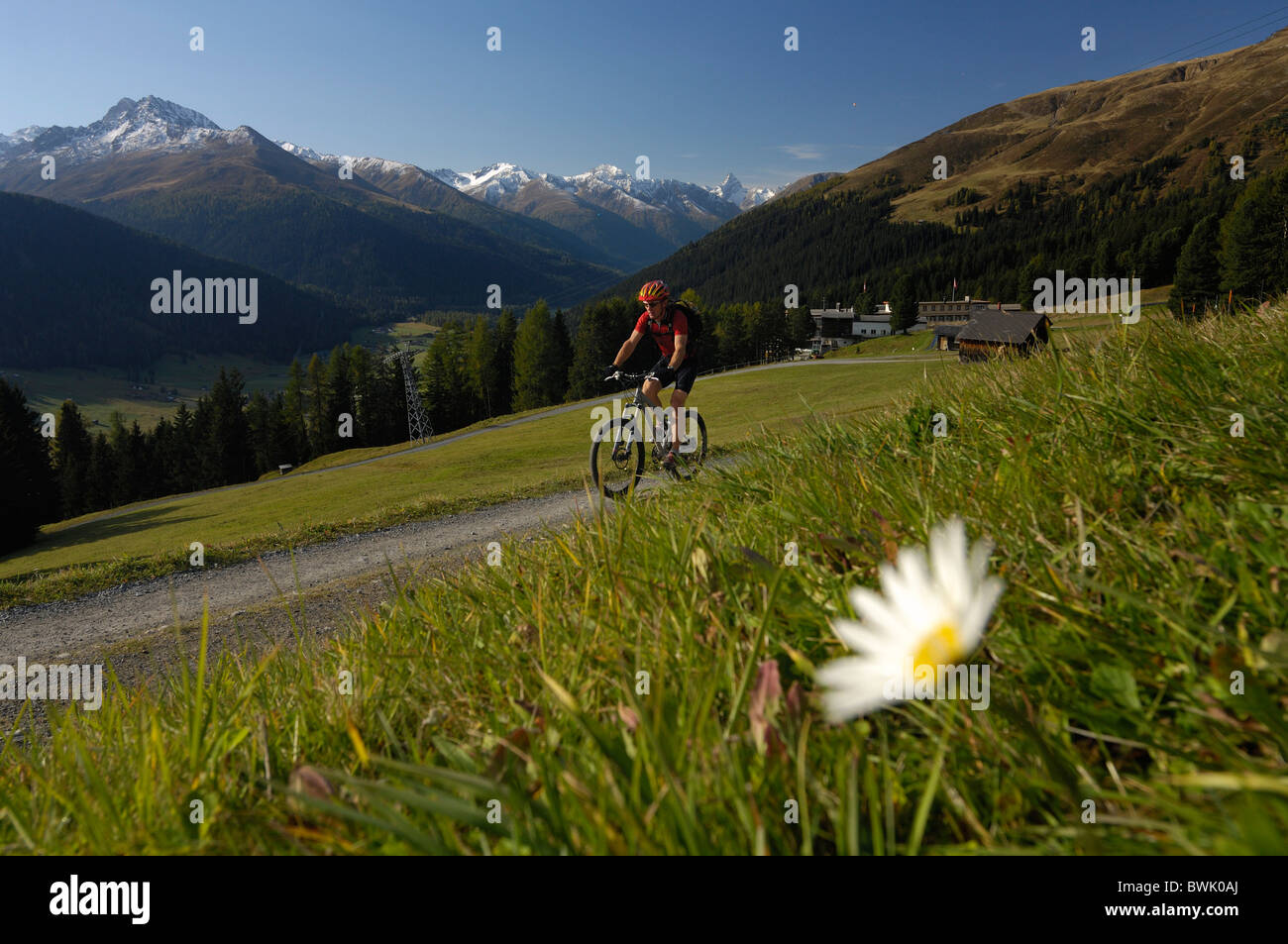 Mann auf einer Mountain Bike Tour, MTB, Mountainbiken in der Nähe von Davos, Plessur Range, Graubünden, Schweiz Stockfoto
