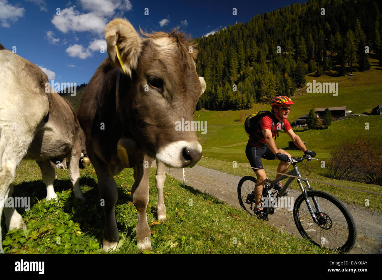 Mann auf einer Mountain Bike Tour, MTB, Mountainbiken in der Nähe von Davos, Albula Range, Graubünden, Schweiz Stockfoto