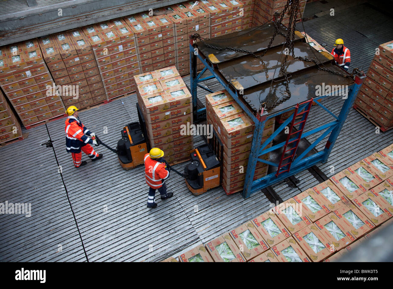 Hafenarbeiter laden Bananenkartons, Hafen Hamburg, Deutschland Stockfoto