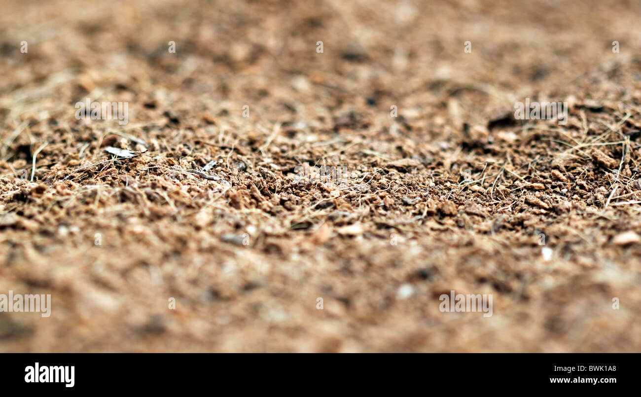 braune mulch Stockfoto