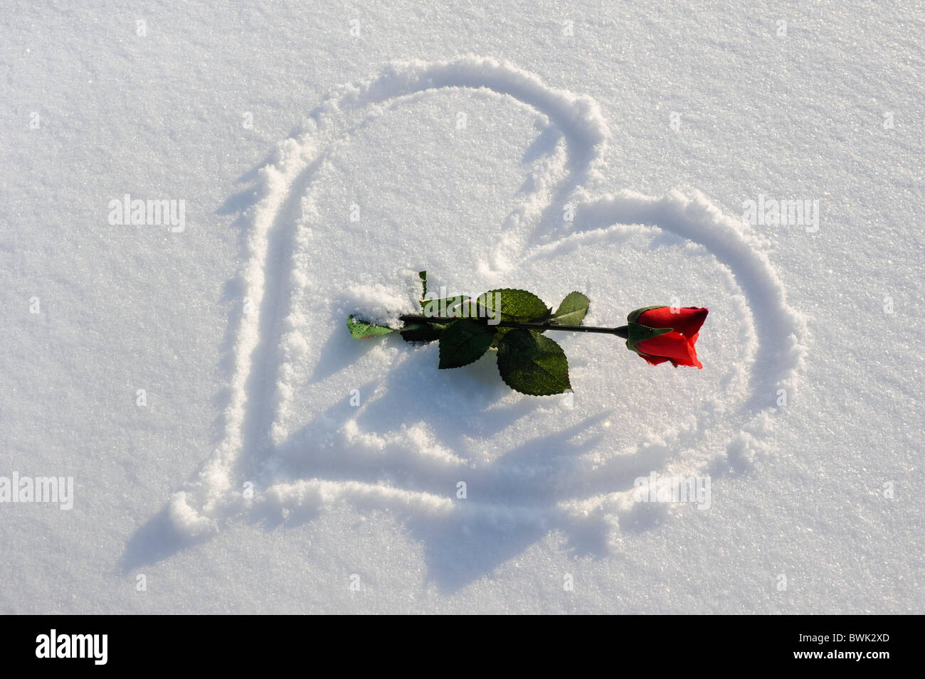 rote Rosen und Herzen im Schnee als Symbol für die Liebe Stockfoto
