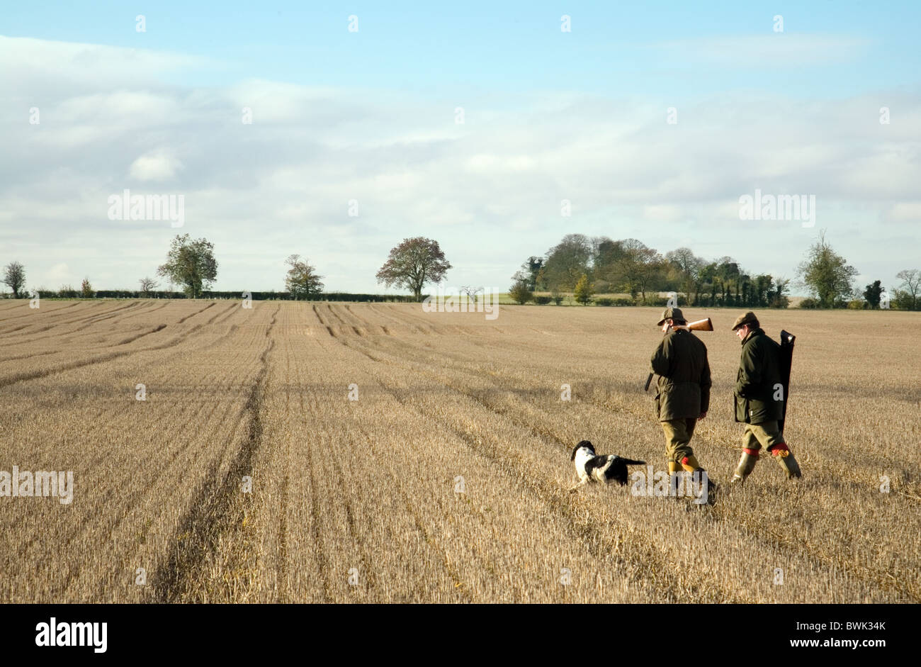 Schützen (Kanonen) und ihren Hunden auf einem Spiel Vogel schießen, Cambridgeshire, UK Stockfoto