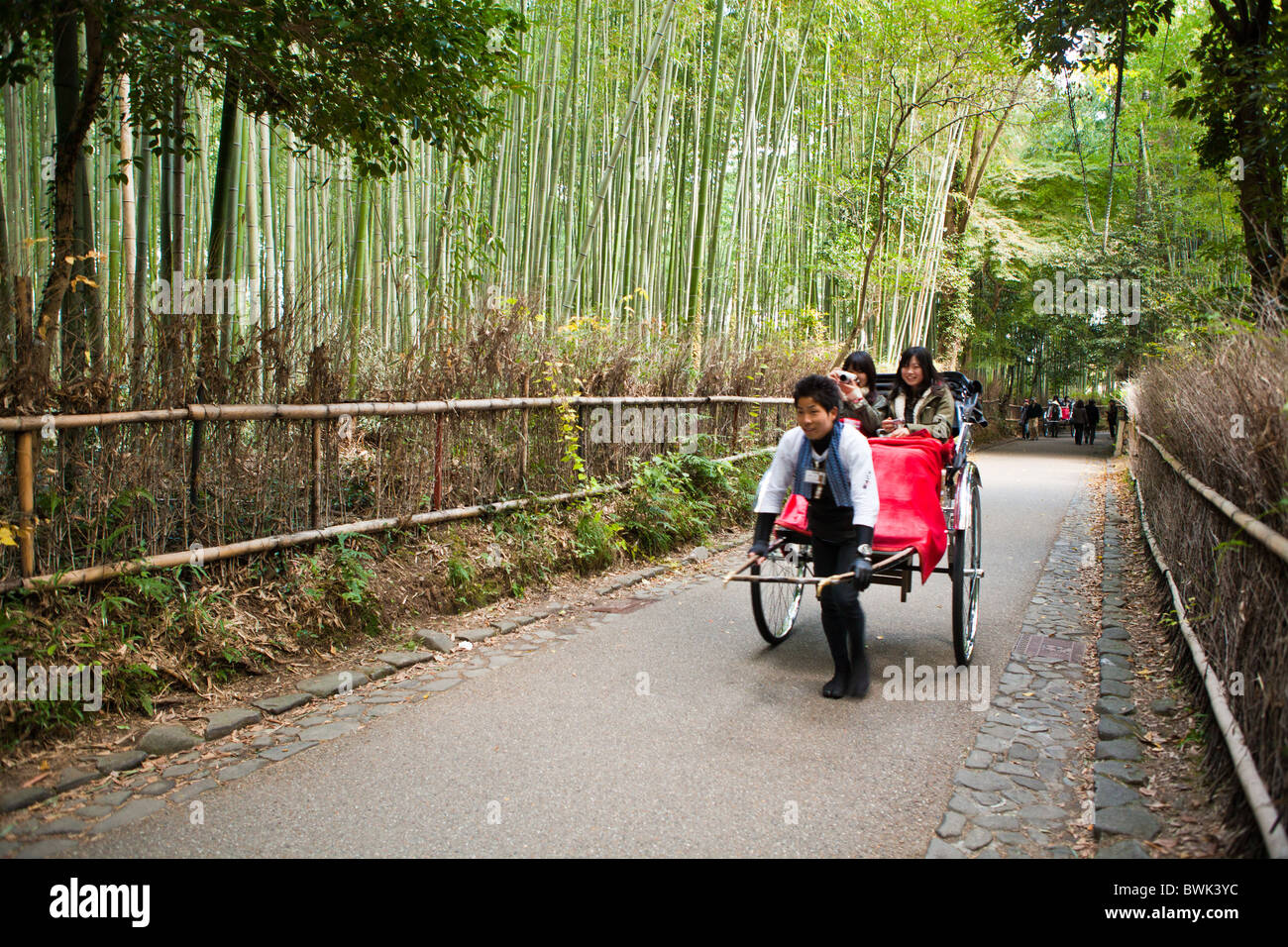 Arashiyama Bambushainen befinden sich hinter Tenryuji Tempel und auf dem Weg nach Okochi Sanso Stockfoto