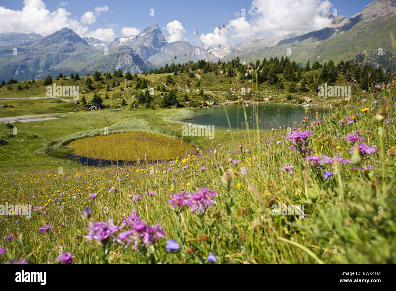 Landschaft bei Alp Flix, Sur, Graubünden, Schweiz Stockfoto