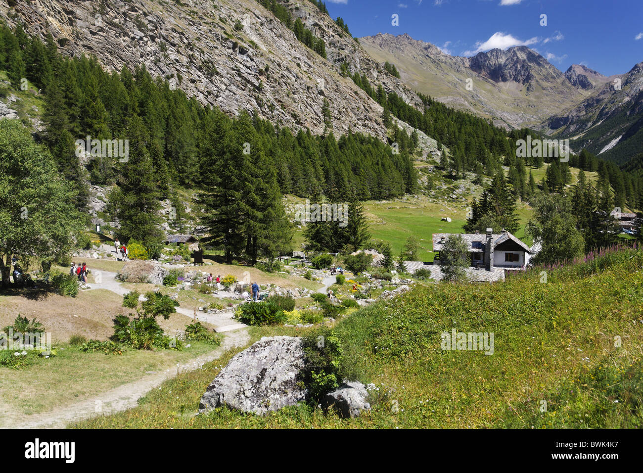 Giardino Alpino Paradisia Valnontey Tal, Nationalpark Gran Paradiso, Aostatal, Italien Stockfoto