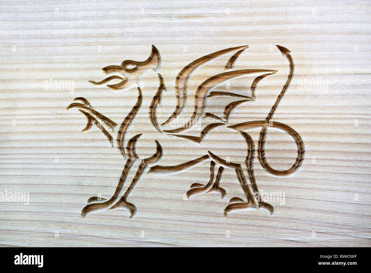 Walisischer Drache, nationales Symbol von Wales, geschnitzt in genarbtem Holzplatte Stockfoto