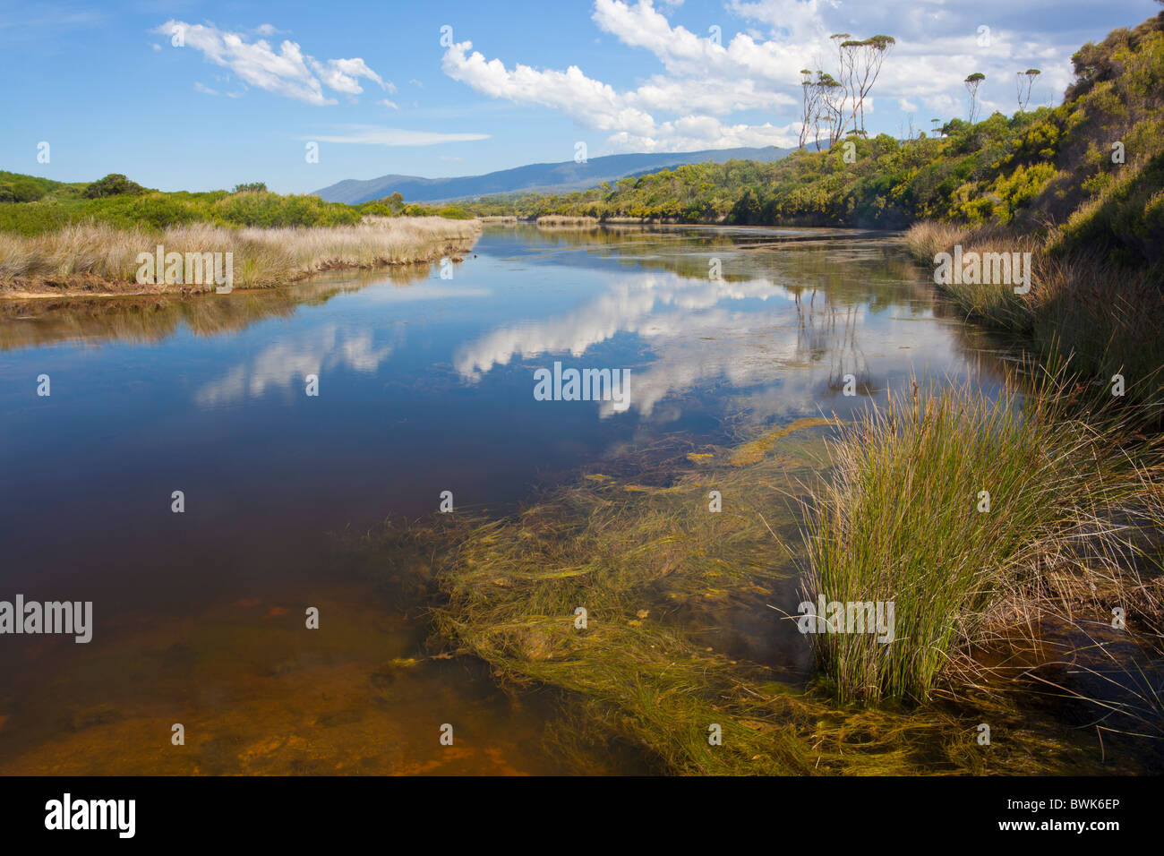 Reflexionen in der Lagune bei Lagunen Strand, Kette von Lagunen nördlich von Bicheno an der Ostküste Tasmaniens Stockfoto