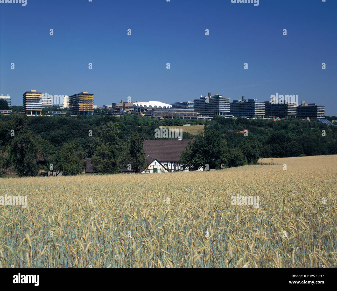 Bauernhaus Korn Feld Ruhr Universität Bochum Ruhrgebiet Deutschland Europa Nordrhein-Westfalen Stockfoto