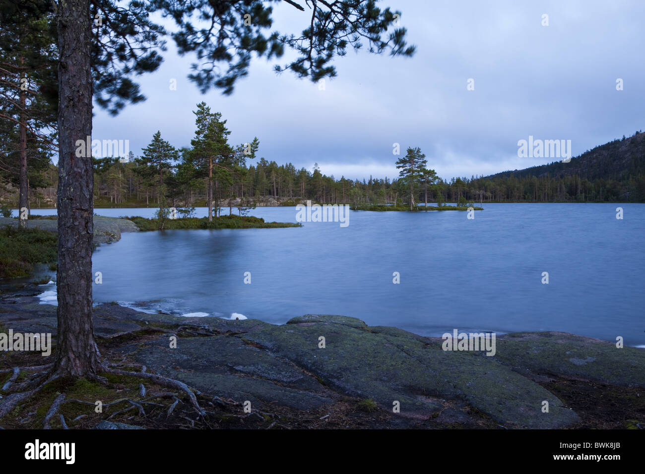 Der See Taernaettvatten im Nationalpark Skuleskogen abends Hoega Kusten, Vaesternorrland, Schweden, Europa Stockfoto