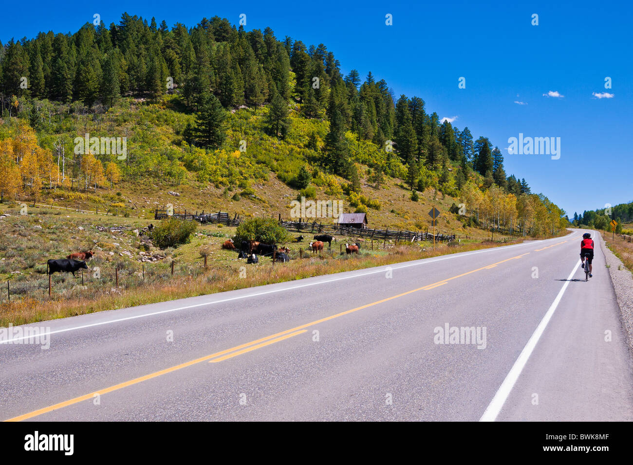 Radfahrer auf der San Juan Skyway (Highway 62), Uncompahgre National Forest, Colorado Stockfoto