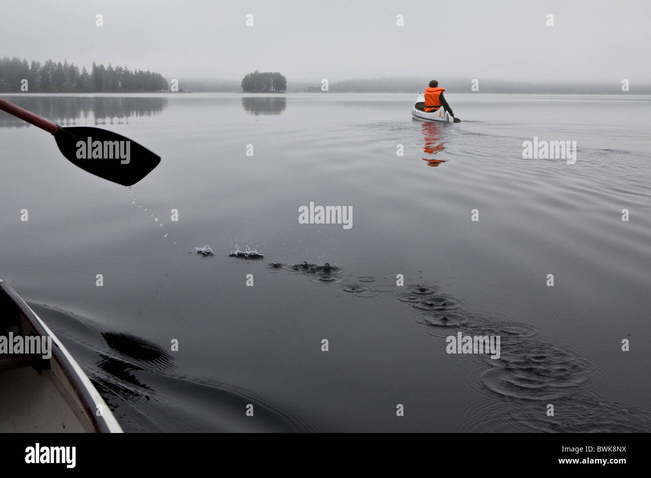 Zwei Männer im Kanu auf dem See von Trehoerningsjoe, Vaesternorrland, Schweden, Europa Stockfoto
