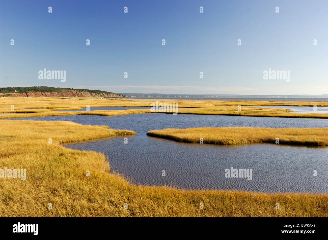 Landschaft Landschaft Gezeiten Küste Meer Sumpf März Bucht Wattenmeer Natur Panorama Bay Of Fundy Marsh Landschaft Wa Stockfoto