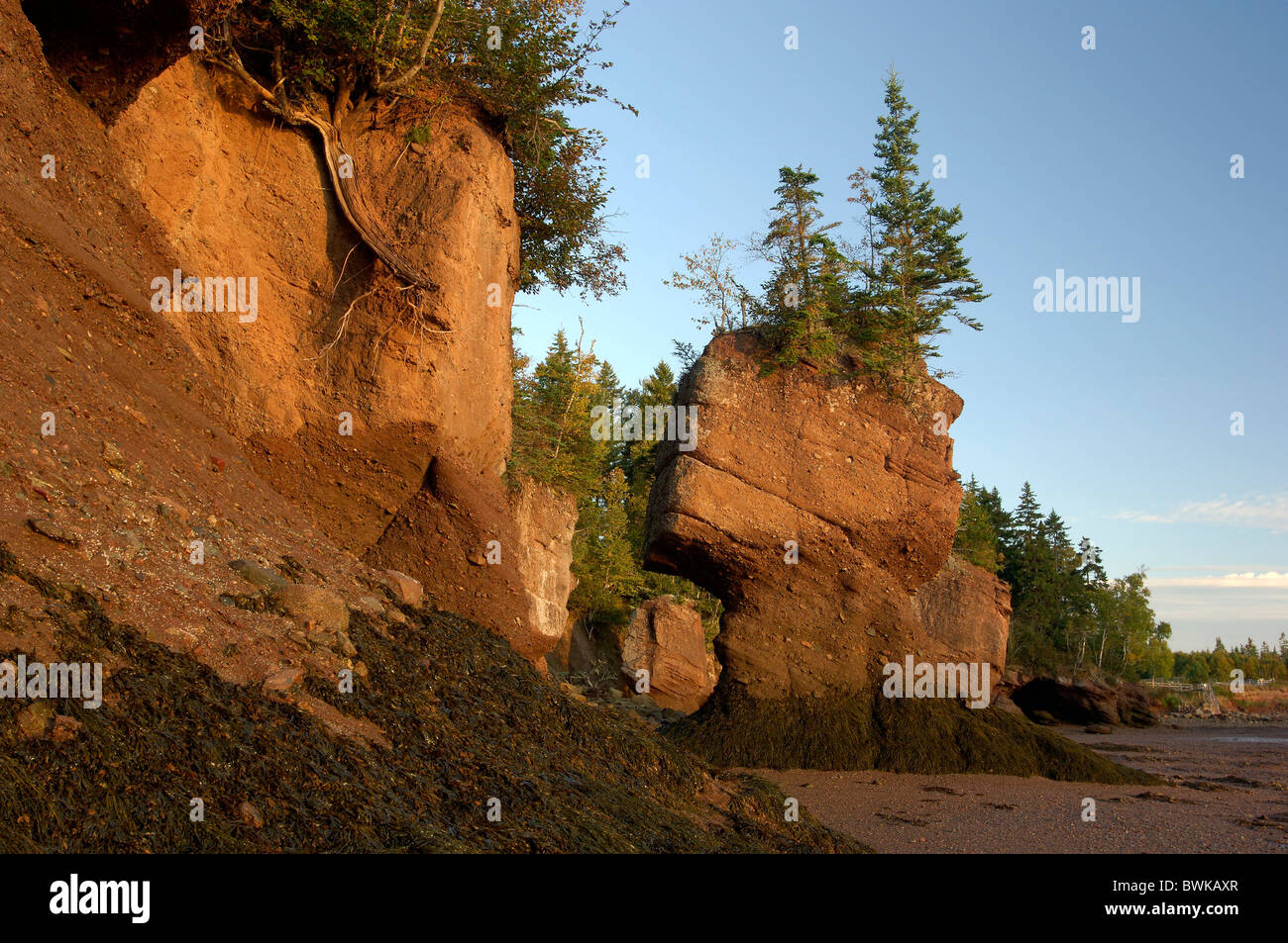 Blumentopf Felsen Rock Cliff Erosion Klippe Formen Klippe Skulpturen Gezeiten Ebbe Ebbe Flut Stimmung Abenddämmerung twiligh Stockfoto
