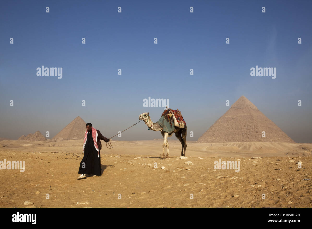 Touristenführer mit Kamel vor der Pyramide des Mykerinos (links) und Khafre (rechts), Gizeh, Kairo, Ägypten, Afrika Stockfoto