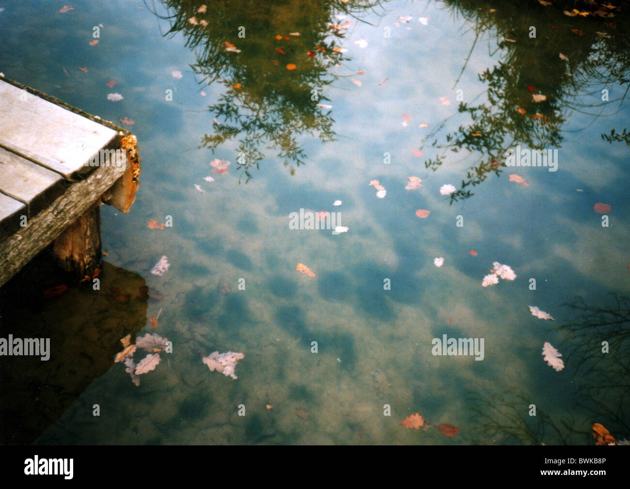 Steg Anlegestelle Landungsbrücken Holzsteg Teich See Wasser Blätter Blätter Laub Reflexion Natur Reflexion Stockfoto