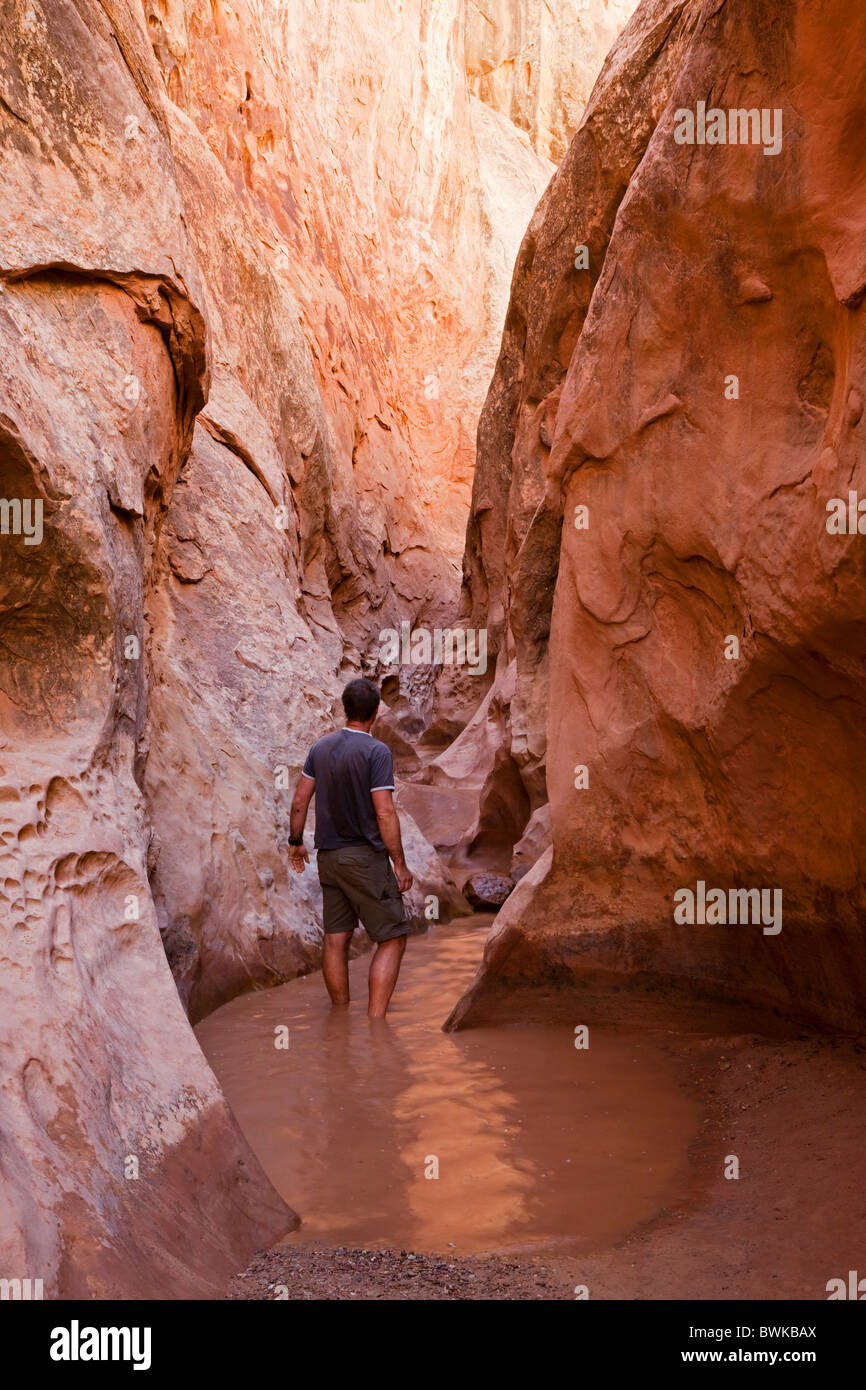 Tourist in Little Wild Horse Canyon, Slot Canyon, San Rafael Swell, Utah, USA Stockfoto