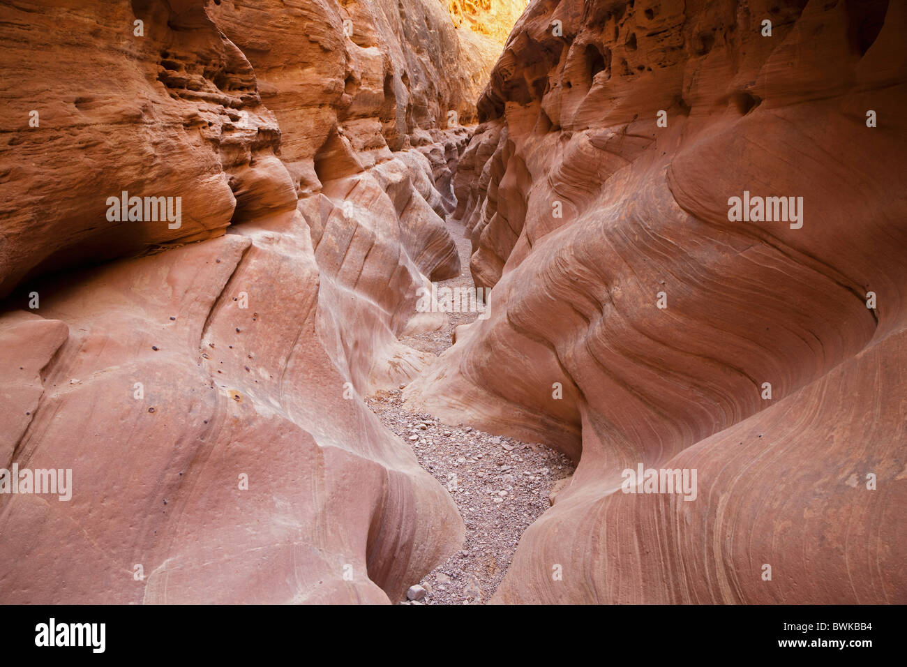 Little Wild Horse Canyon, Slot Canyon, San Rafael Swell, Utah, USA Stockfoto